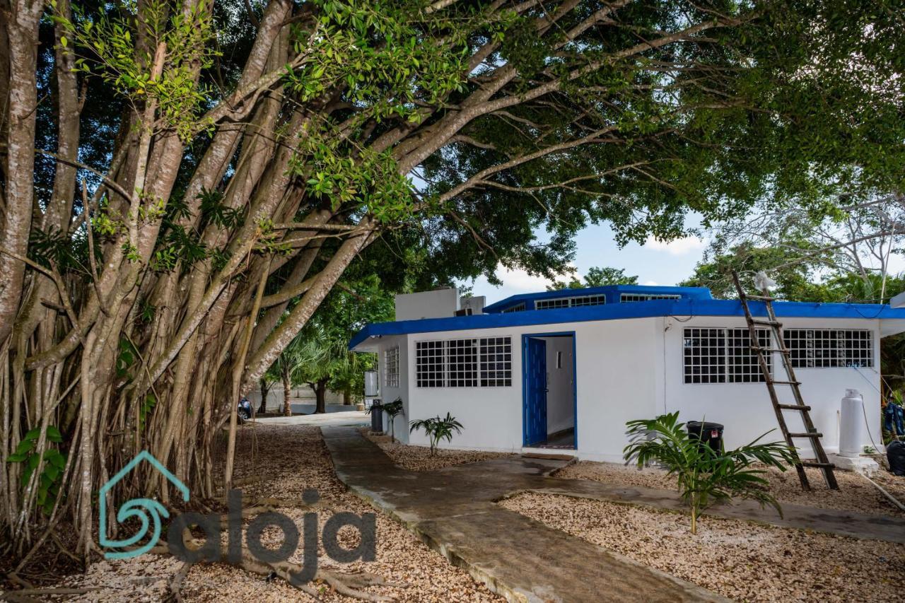 Xtohil With Private Access To The Magic 7 Colors Lagoon *