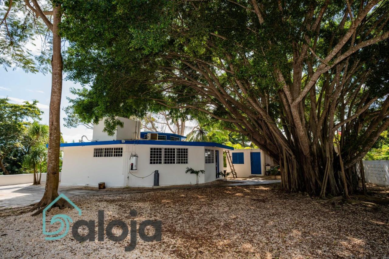 Villa Xtohil With Private Access To The Magic 7 Colors Lagoon Bacalar