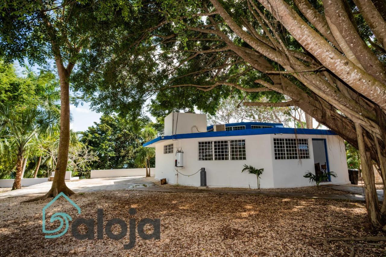 Villa Xtohil With Private Access To The Magic 7 Colors Lagoon *